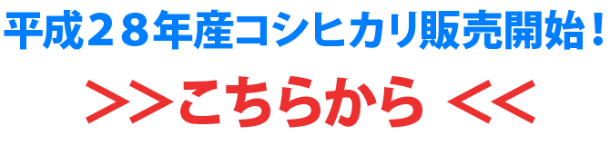 28年産新米コシヒカリ販売開始