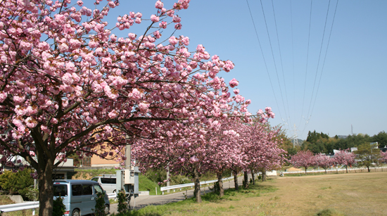 ���d�����J