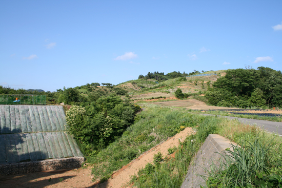 田上中学校裏山