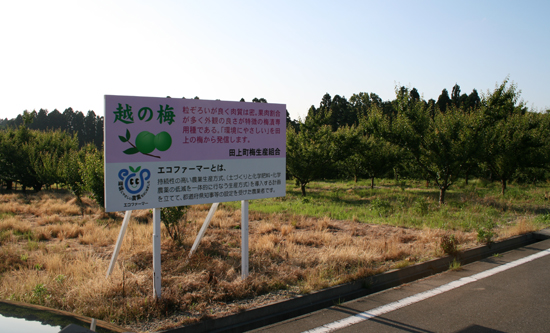 梅林