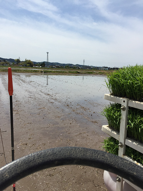 田植え機にて