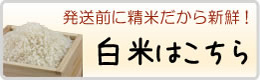 白米のお求めはこちら