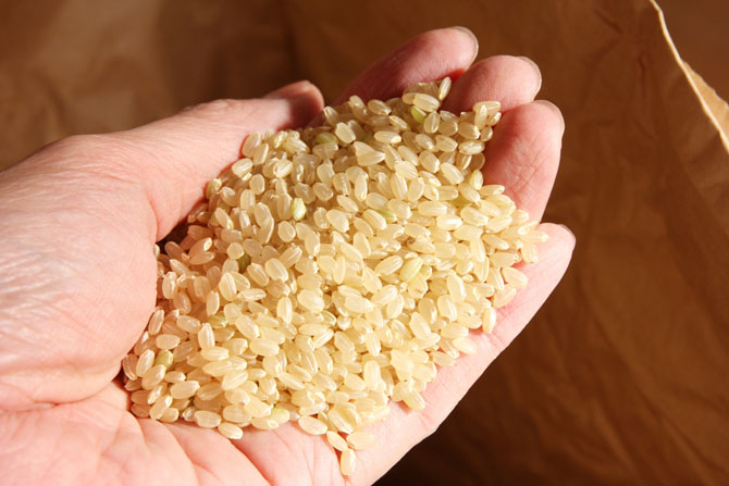 玄米は栄養豊富