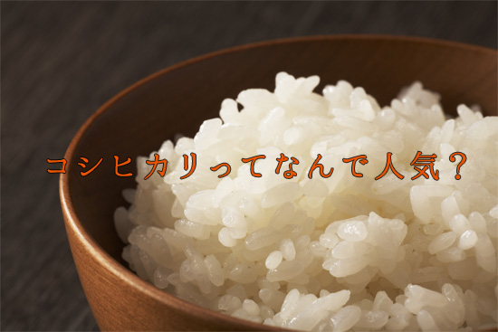 新潟のお米は美味しいぞ！？