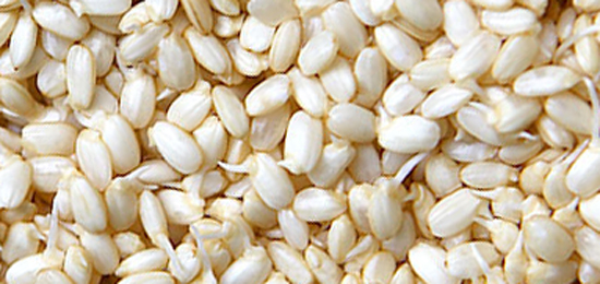 発芽玄米について
