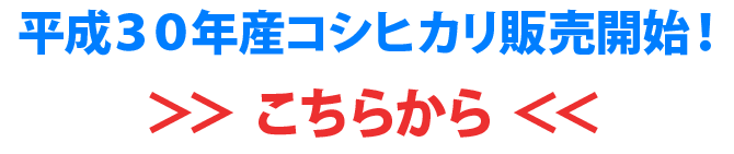 平成30年度産新米販売中