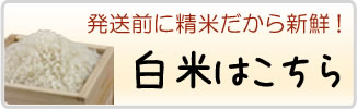 コシヒカリの白米をお求めはこちら