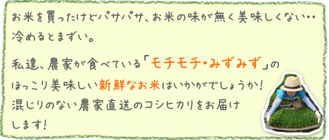 農家直送の新鮮なお米をご提供