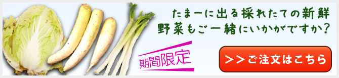 新鮮野菜も不定期に販売！